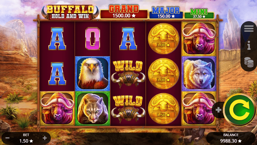 Buffalo Hold and Win bonus symbols