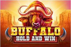 Play Buffalo Hold and Win Review slot at Pin Up