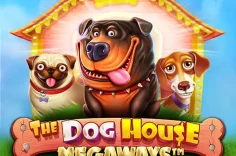 Play The Dog House Megaways Slot – A Fun & Volatile Adventure slot at Pin Up